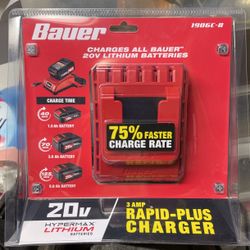 20 Volt Charger 