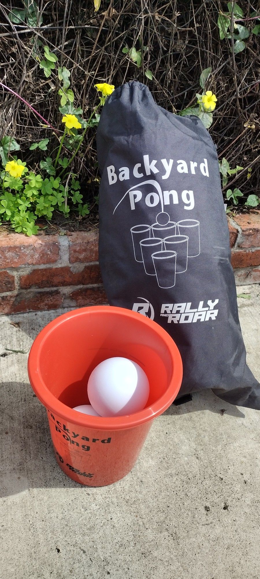 New Backyard Pong 