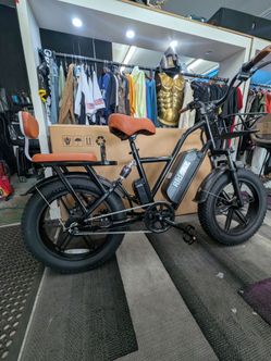 Double seater ebike