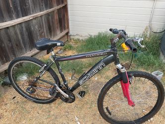 Bikes