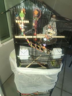 Bird Cage with water and food despinser