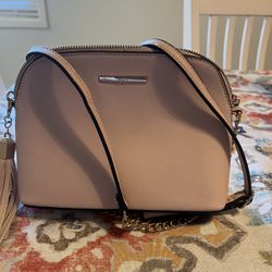 Aldo Purse