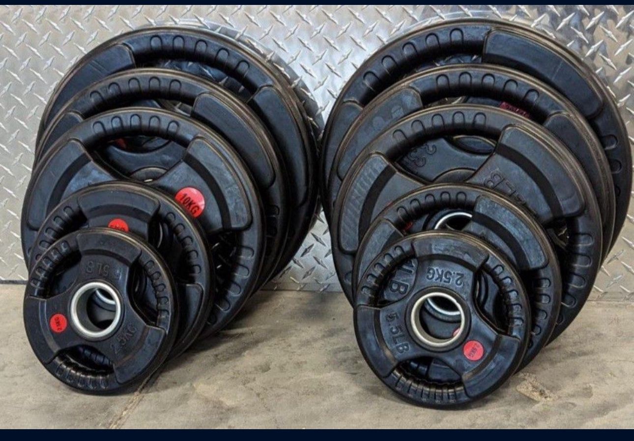 Rubber Weights, Olympic Weights, Barbells, Dumbbells, Smith Machine, Squat Rack.