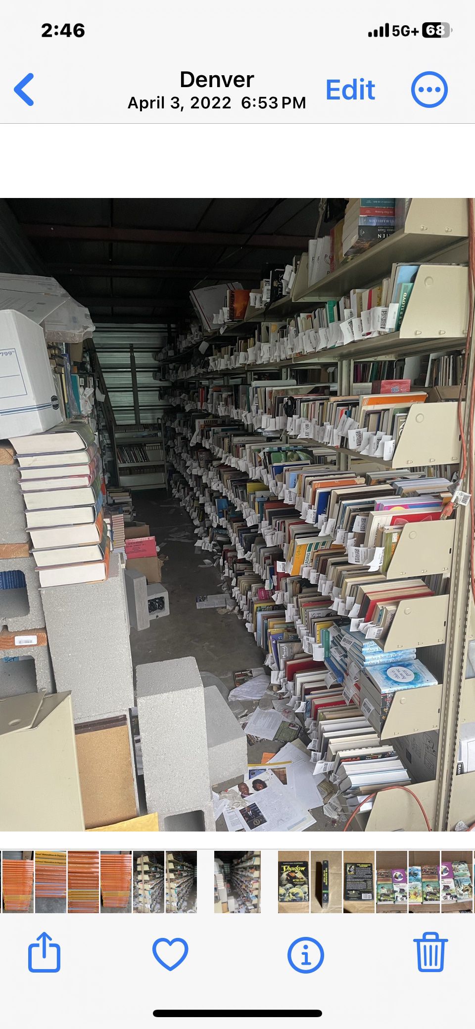 Library Shelves 