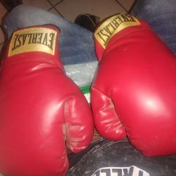 6oz Everlast Gloves