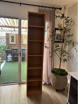 Bookshelf/Book Case