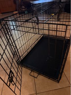 Dog kennel