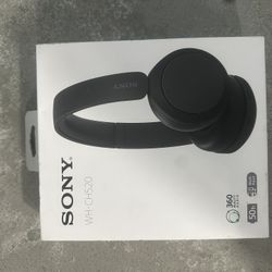Sony WH-ch520 Headphones 
