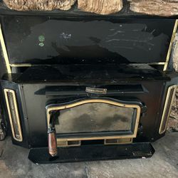 Wood burning insert with blower