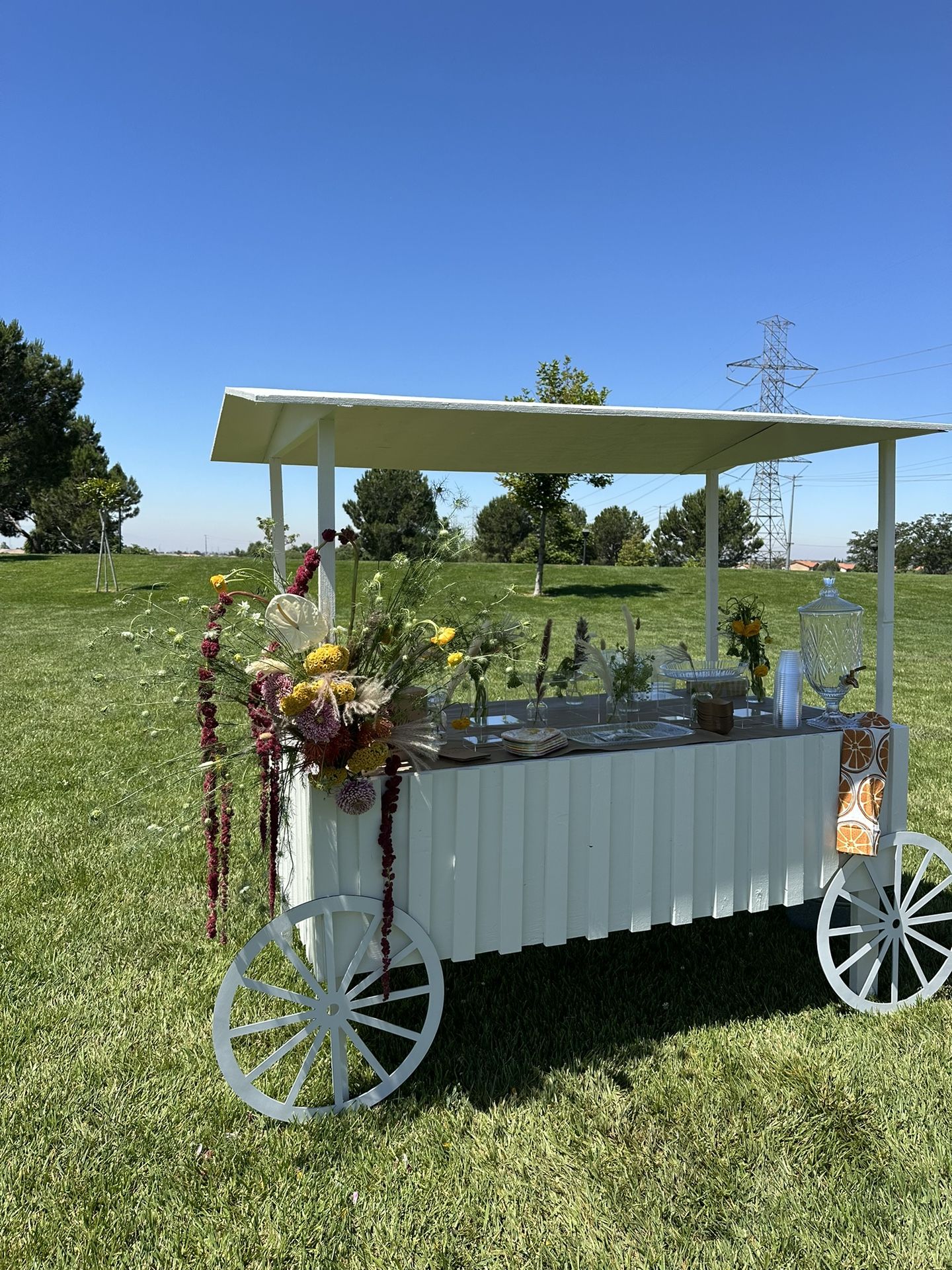 Party Event Cart