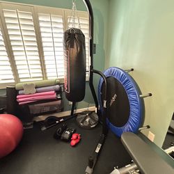 Punching Bag w/ gloves