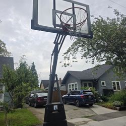 Basketball Hoop