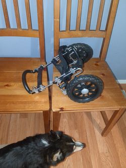 Dog or Cat Wheel Cart