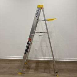 6 Ft. Werner Aluminum Step Later 