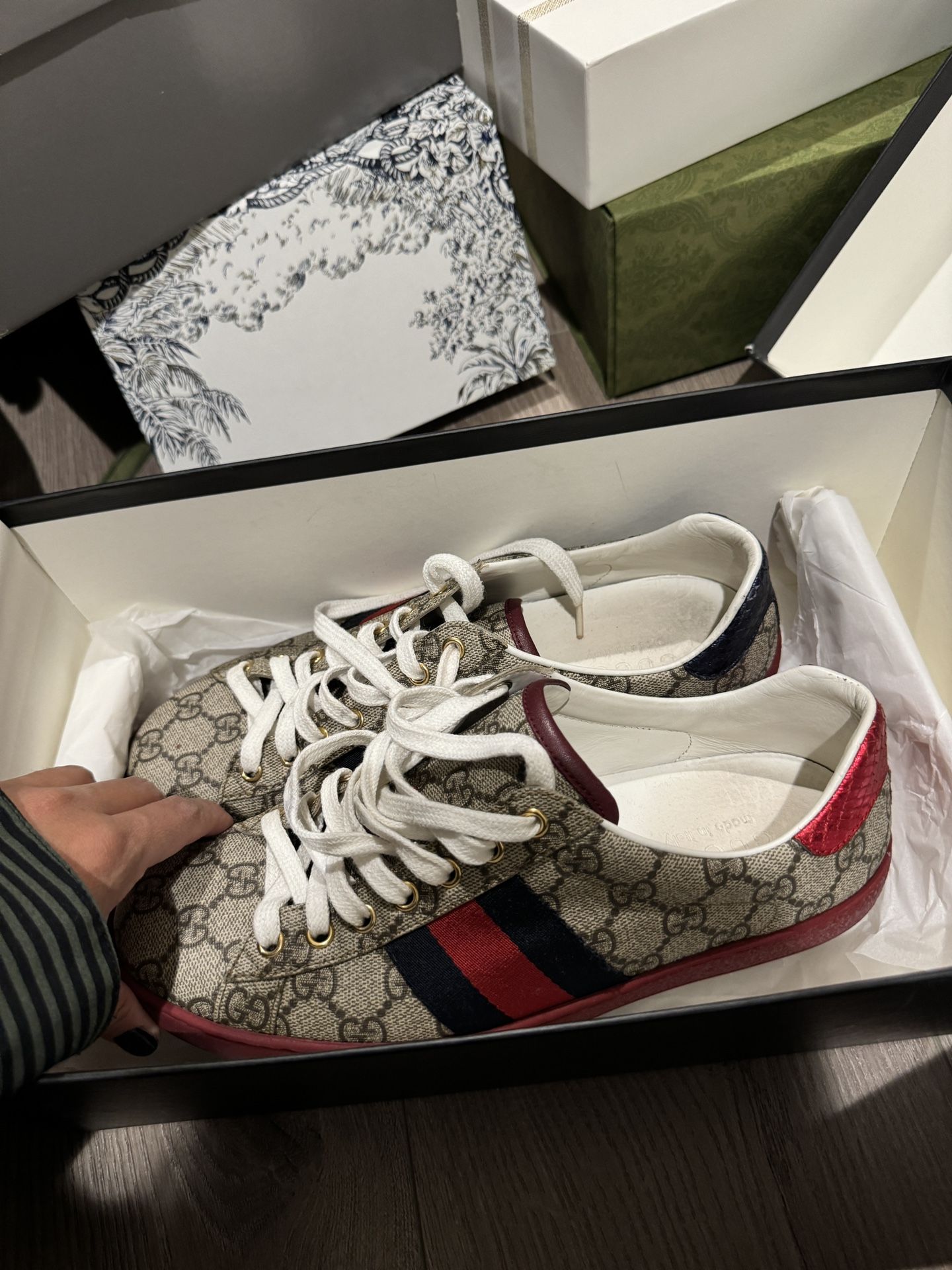 Gucci Sneaker Size 9