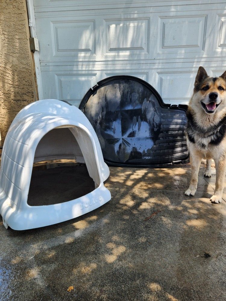 Large Dog House