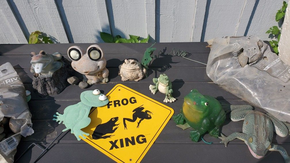 frog collection