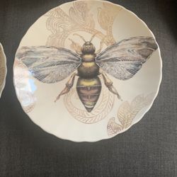 Tim Coffey Co Op Plates Bees And Hive