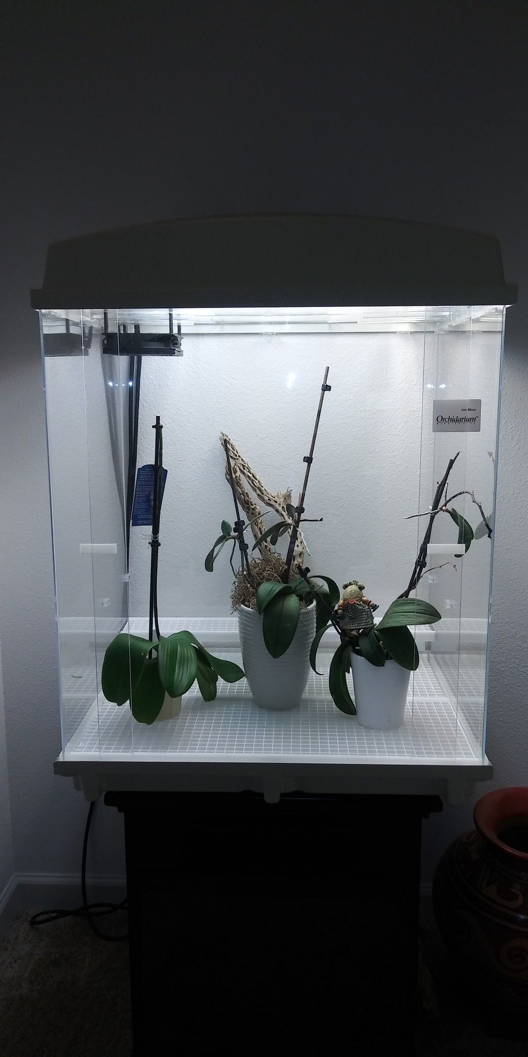 The Maui Orchidarium