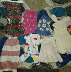 Female or male dog clothing