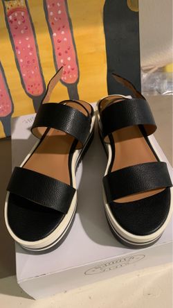 Steve Madden