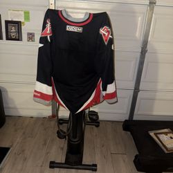 NHL Jersey