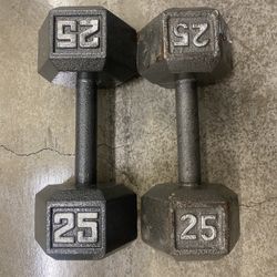Pair Of 25 Pound Dumbbells 