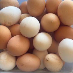 Ranch Hens Fresh, Organic Eggs.$8.00/dozen
