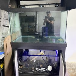 Saltwater Aquarium 150 Gallon 