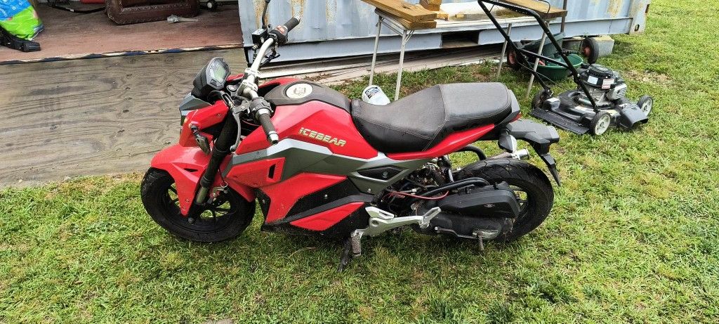 2020 Ice Bear Moped