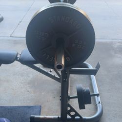 Bench press set up with weights