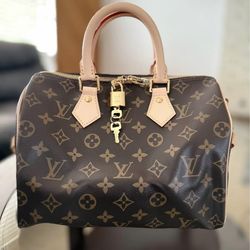 Louis Vuitton Speedy 25 woman’s bag