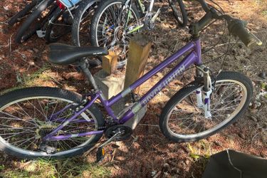 Royce Union adult bike