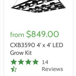 Rapid LED Grow Light.