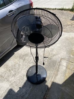 Black Fan