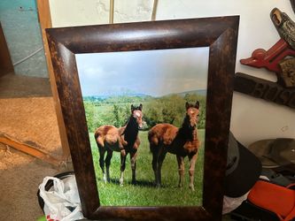 Pictures