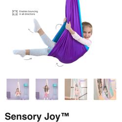 Sensory Swing 