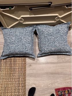 2 outdoor pillows/waterproof