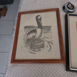 Albatross Pen And ink 15 X12.  /25.00