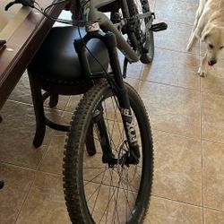 Mountain Bike - Specialized Status 