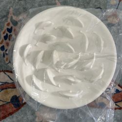 Plato Para Mascotas Nuevo 