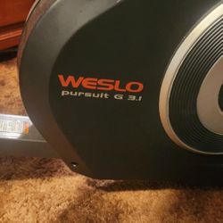Weslo Pursuit G 3.1 Recumbent Bike