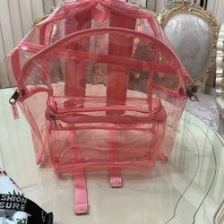 Clear Pink Backpack