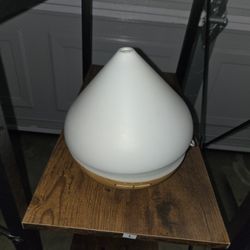 Humidifier And Oil Diffuser