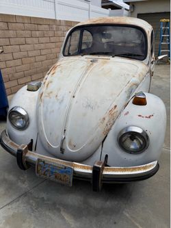 Vw bug