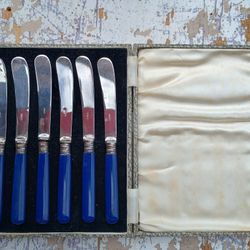 Vintage Blue Bakelite Butter Knives Set of 6 in Original Presentation Box *20.00 Firm* EPSN