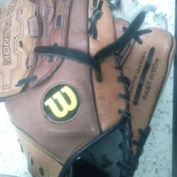 Rawlings Glove ,  Wilson Web  Fart Catch 