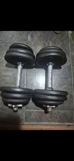 30lbs Dumbells Weights