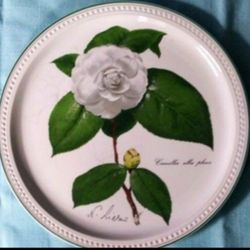 1980 VILLEROY & BOCH PORCELAIN PLATE 8"
