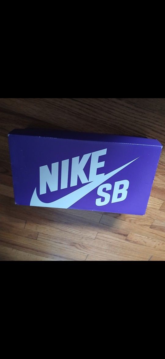 Nike SB Zoom Shoes